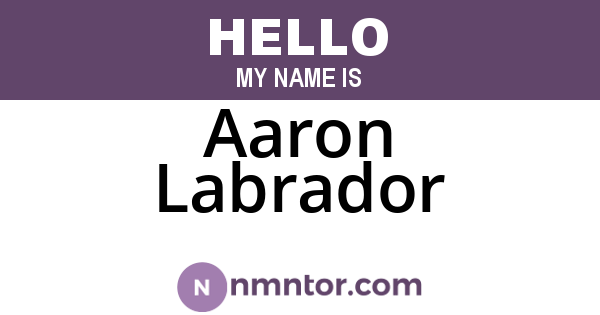 Aaron Labrador