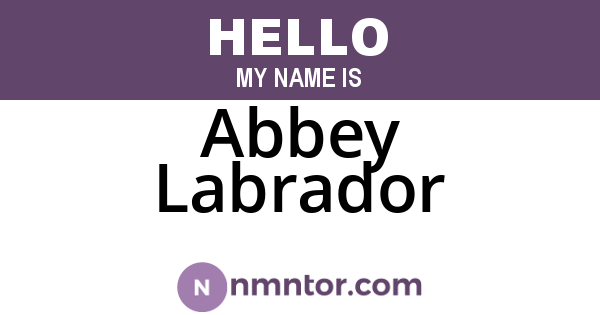 Abbey Labrador