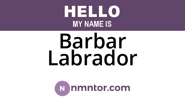 Barbar Labrador