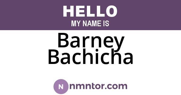 Barney Bachicha