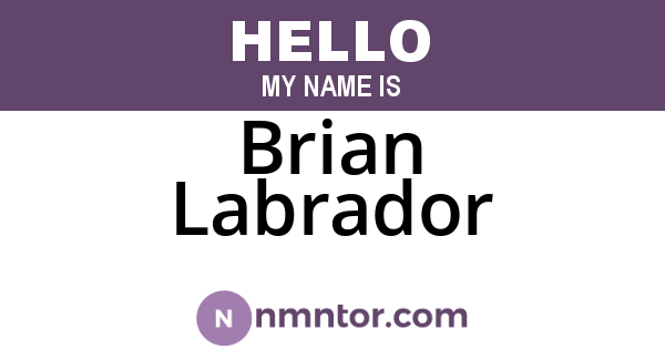 Brian Labrador
