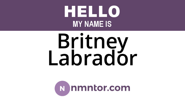 Britney Labrador