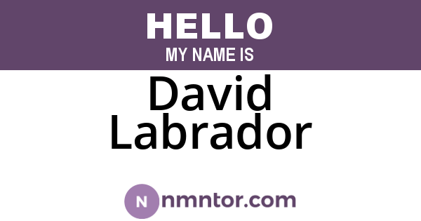 David Labrador