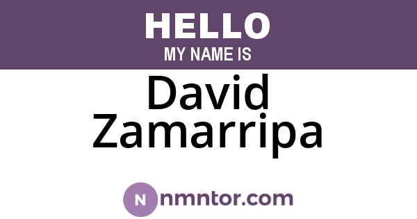 David Zamarripa