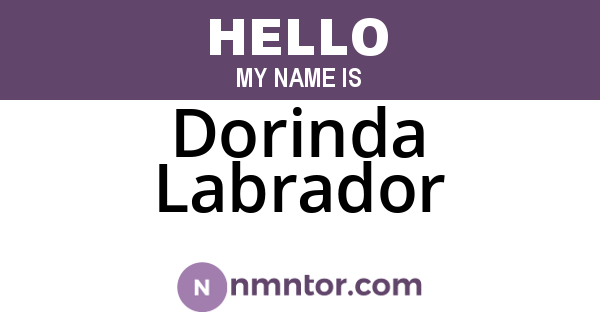 Dorinda Labrador