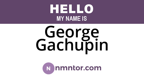George Gachupin