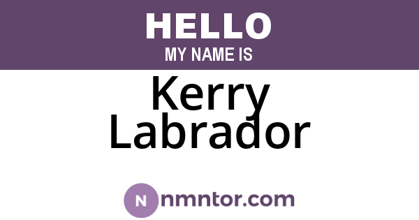 Kerry Labrador