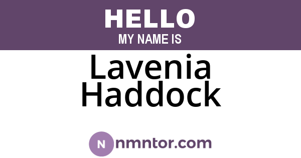 Lavenia Haddock