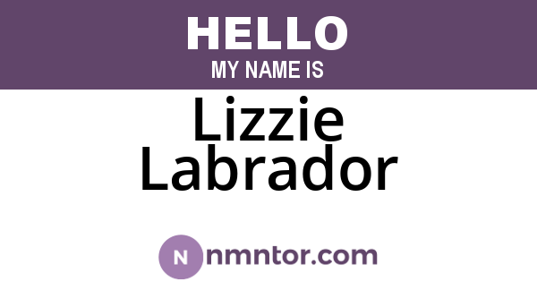 Lizzie Labrador