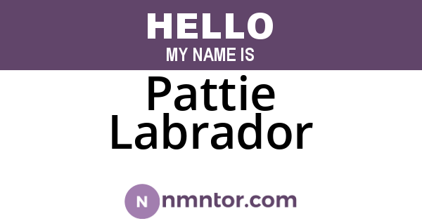 Pattie Labrador
