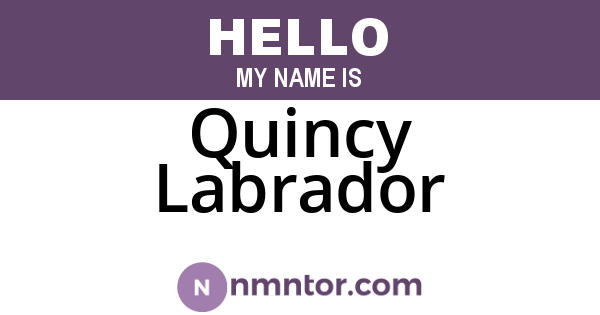 Quincy Labrador