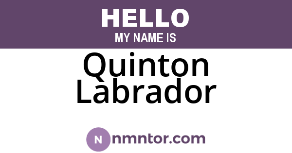 Quinton Labrador