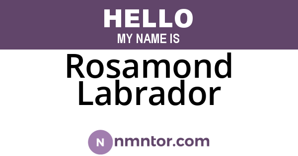Rosamond Labrador