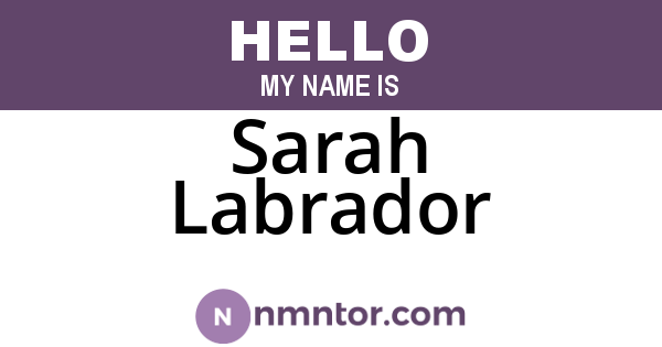 Sarah Labrador
