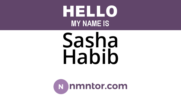 Sasha Habib