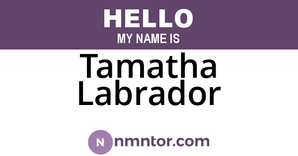 Tamatha Labrador