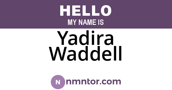 Yadira Waddell