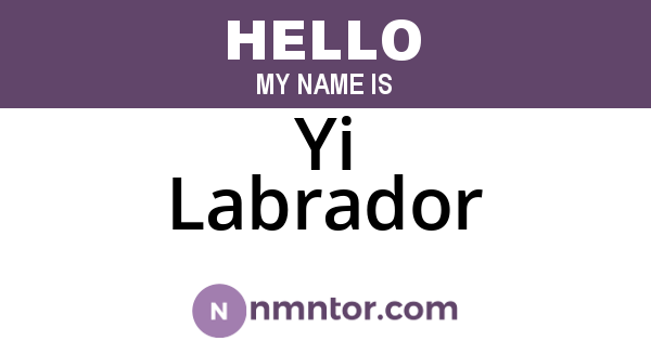 Yi Labrador