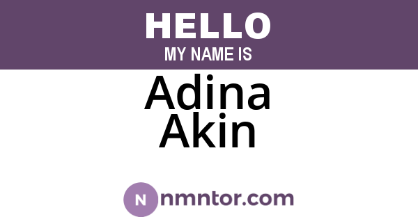 Adina Akin
