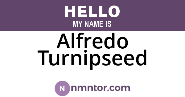 Alfredo Turnipseed