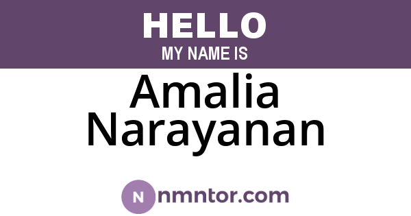 Amalia Narayanan