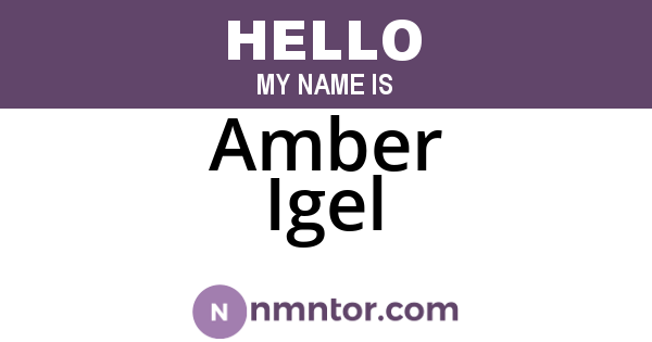 Amber Igel