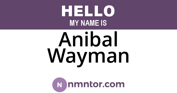 Anibal Wayman