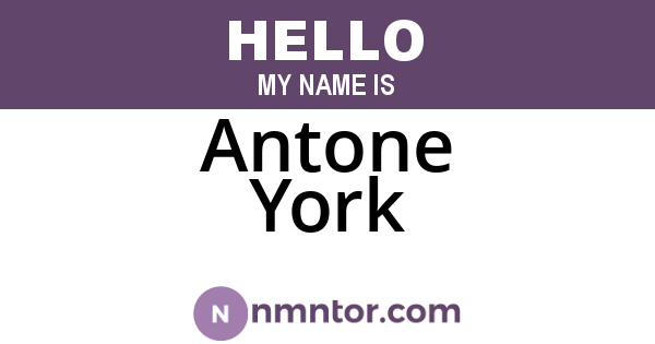 Antone York