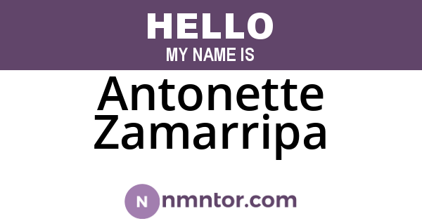 Antonette Zamarripa