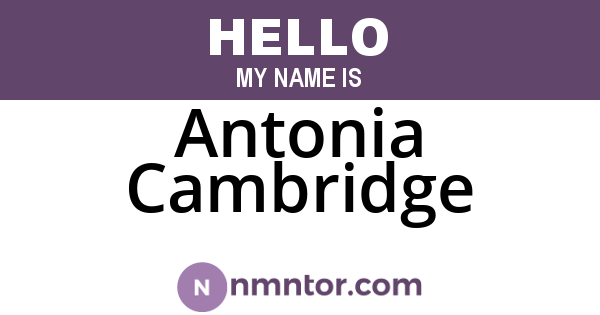 Antonia Cambridge