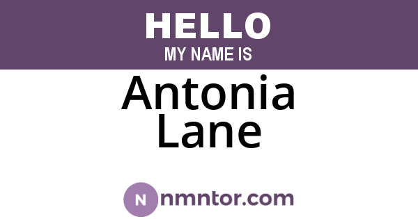 Antonia Lane