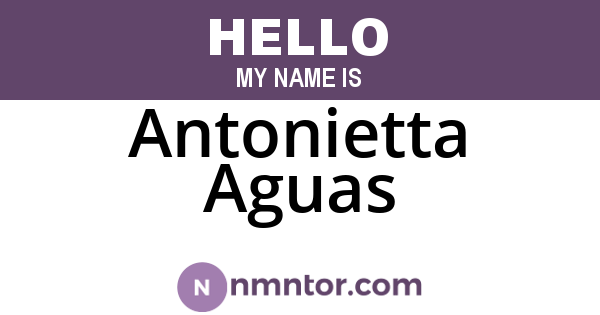 Antonietta Aguas