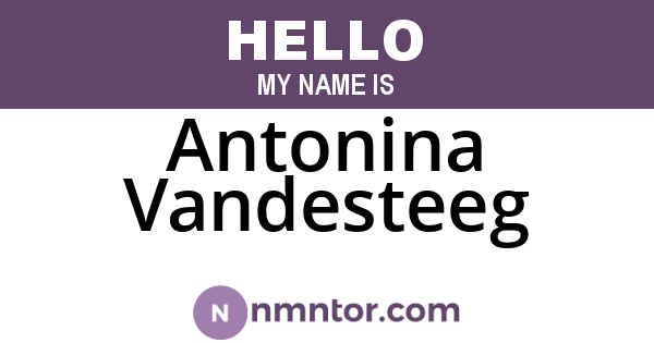 Antonina Vandesteeg