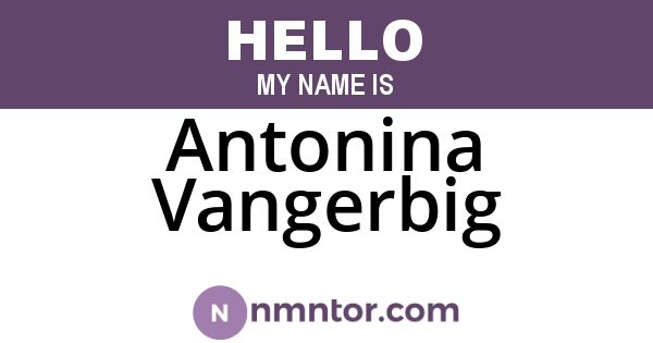 Antonina Vangerbig
