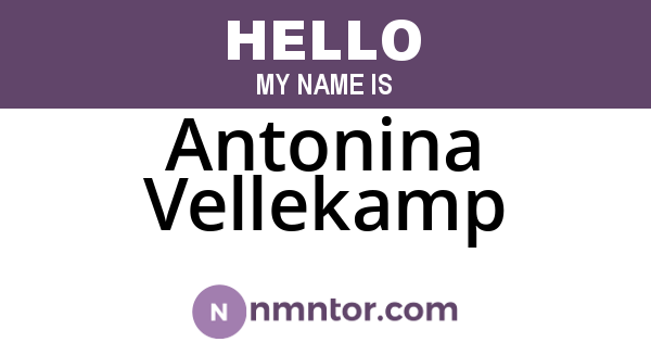 Antonina Vellekamp