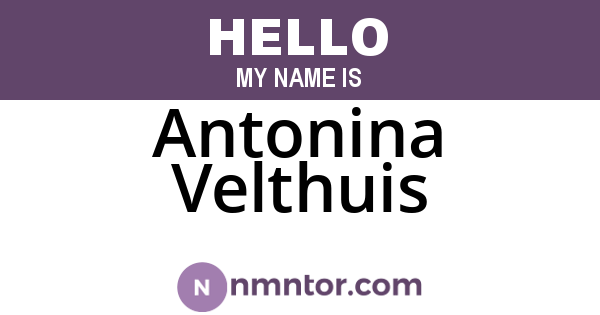 Antonina Velthuis