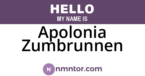 Apolonia Zumbrunnen