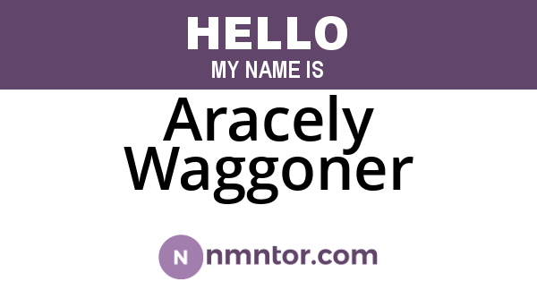Aracely Waggoner
