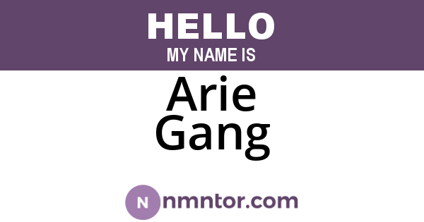 Arie Gang