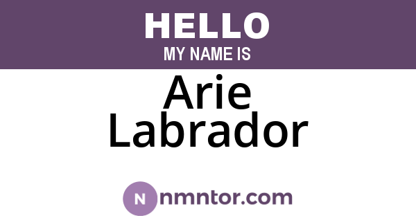 Arie Labrador