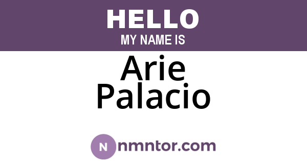 Arie Palacio