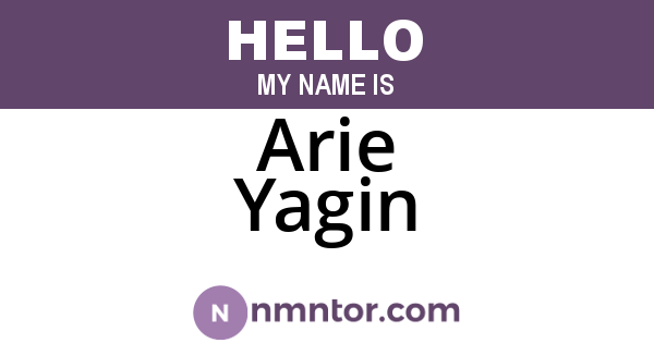 Arie Yagin