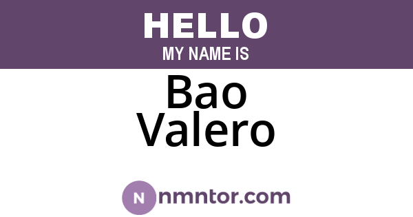 Bao Valero