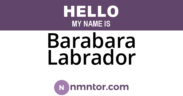 Barabara Labrador