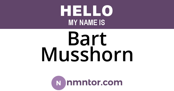 Bart Musshorn