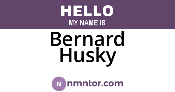 Bernard Husky