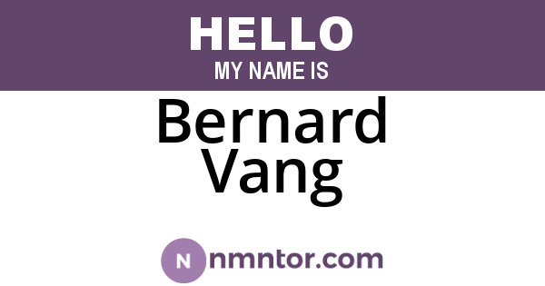 Bernard Vang