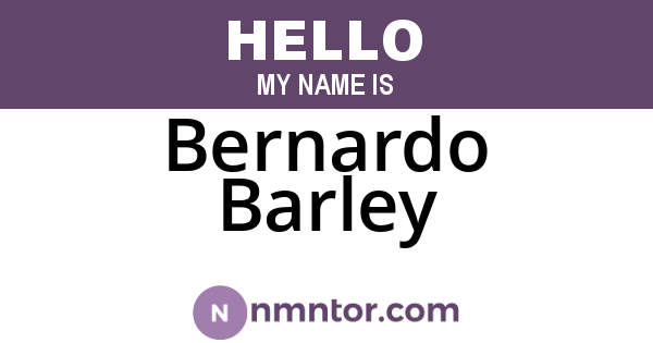 Bernardo Barley