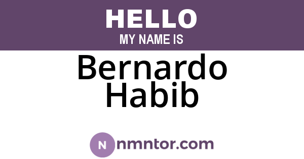 Bernardo Habib