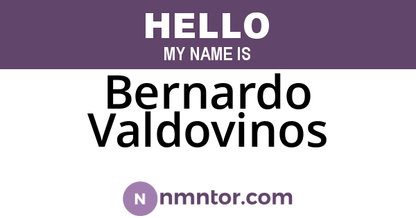 Bernardo Valdovinos